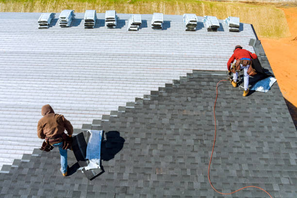 Best Chimney Flashing Repair  in Mapleton, MN