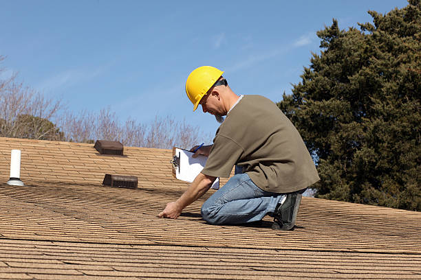 Best Chimney Flashing Repair  in Mapleton, MN
